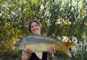 Mirror Carp