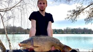 Common Carp