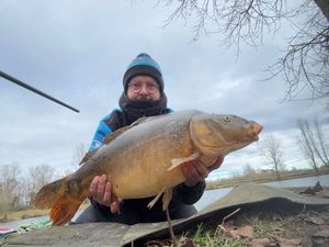 Mirror Carp