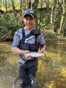 Rainbow Trout