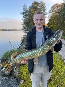 Northern Pike