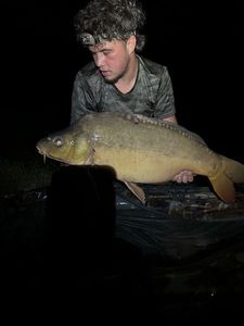 Leather Carp