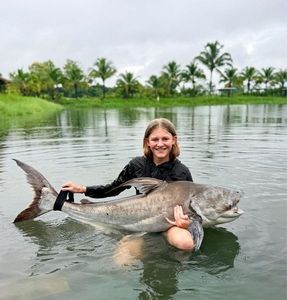 Mekong Giant Catfish