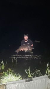 Leather Carp