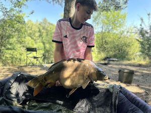 Mirror Carp
