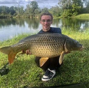 Common Carp