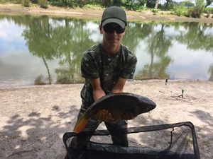 Mirror Carp