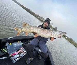 Northern Pike