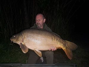 Mirror Carp