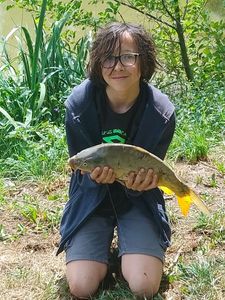 Mirror Carp