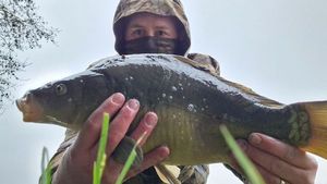 Mirror Carp
