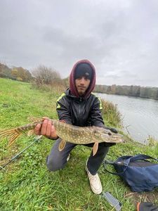 Northern Pike
