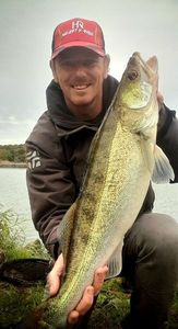 Zander