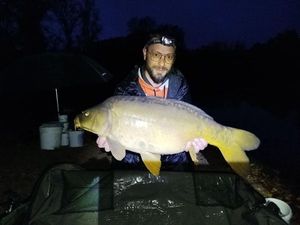 Mirror Carp
