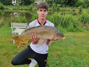 Common Carp