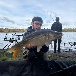 Mirror Carp