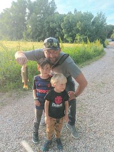 Largemouth Bass
