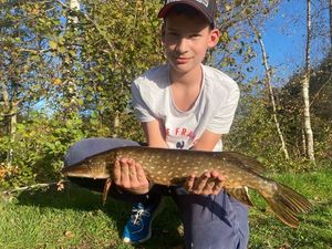 Northern Pike