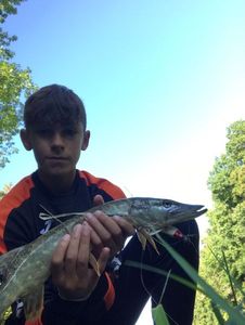 Northern Pike