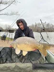 Mirror Carp