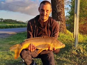 Mirror Carp