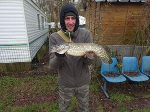 Northern Pike