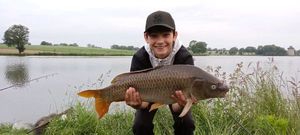 Common Carp