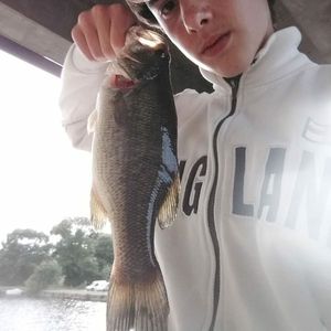 Largemouth Bass