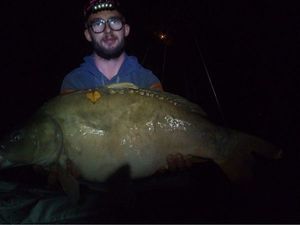 Mirror Carp