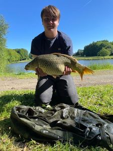 Common Carp