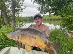 Mirror Carp