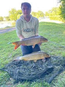 Common Carp