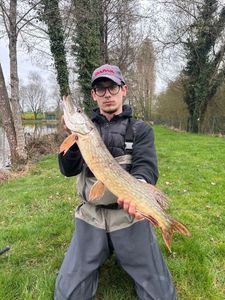 Northern Pike