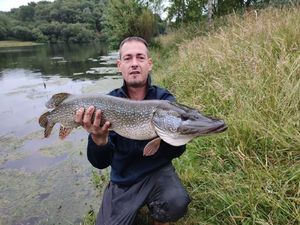 Northern Pike