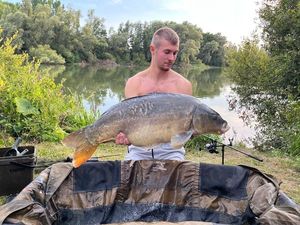 Mirror Carp