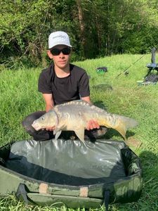 Mirror Carp