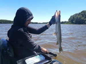 Northern Pike