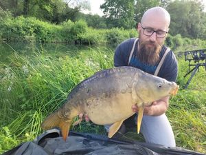 Mirror Carp