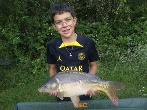 Mirror Carp