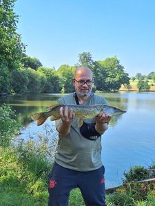 Northern Pike