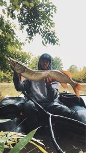 Northern Pike