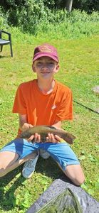 Tench