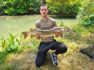 Northern Pike