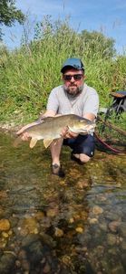 Barbel