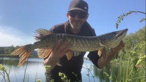 Northern Pike