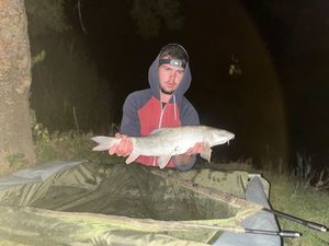 Barbel
