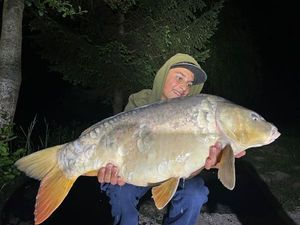 Mirror Carp