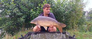 Common Carp
