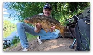 Mirror Carp