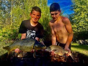 Common Carp